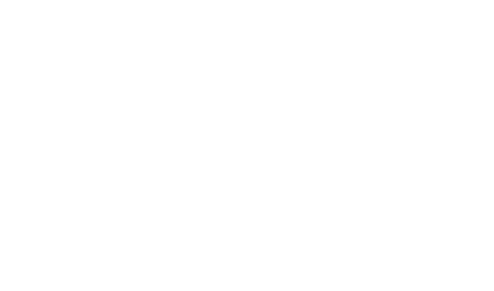 Logo The Black Wizard